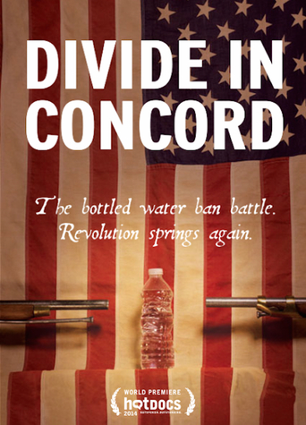 Divide in Concord - Plakate