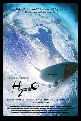 H2mexicO - Plakaty