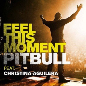 Pitbull feat. Christina Aguilera: Feel This Moment - Cartazes