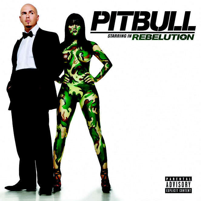 Pitbull feat. The New Royales - Can't Stop Me Now - Plakaty