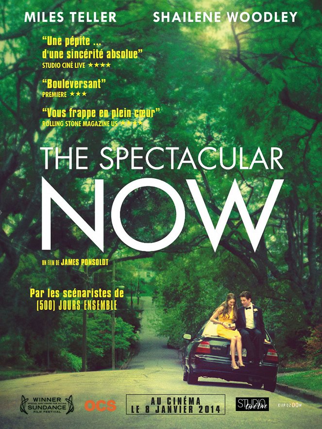The Spectacular Now - Affiches