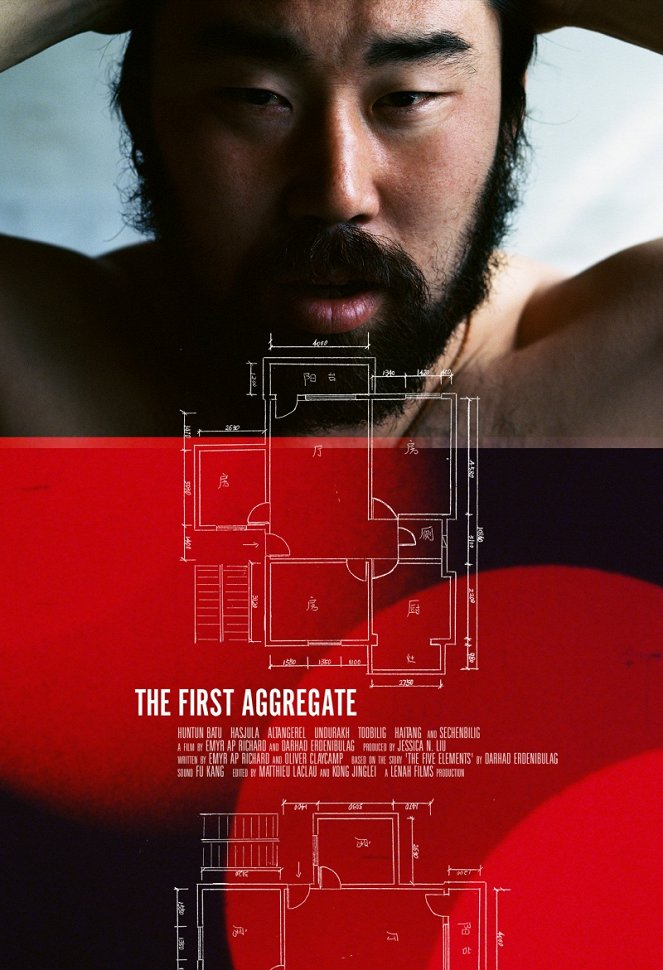 The First Aggregate - Posters