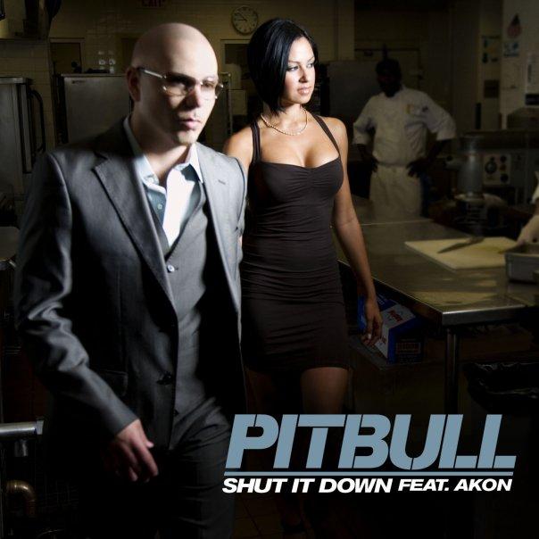 Pitbull feat. Akon - Shut It Down - Affiches