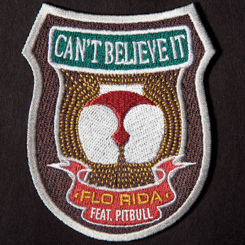 Flo Rida feat. Pitbull - Can't Believe It - Cartazes
