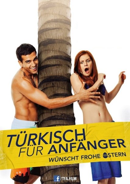 Türkisch für Anfänger - Der Film - Plakaty