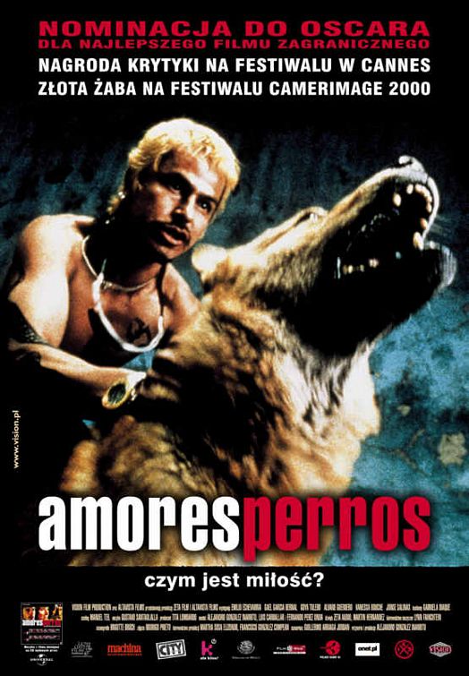 Amores perros - Plakaty