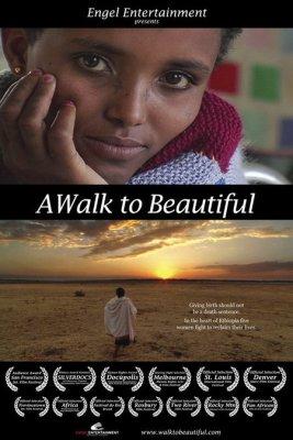 A Walk to Beautiful - Plakaty