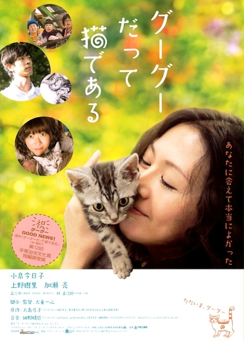 Gou Gou, The Cat - Posters