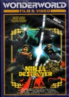 Ninja Destroyer - Affiches