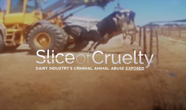 Slice of Cruelty - Cartazes