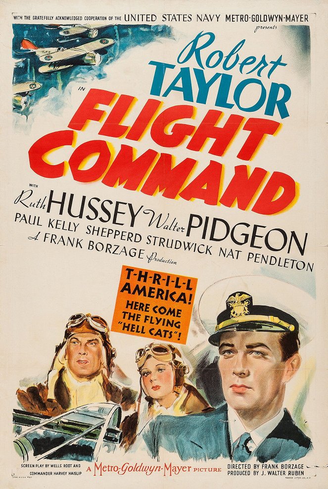 Flight Command - Plakate