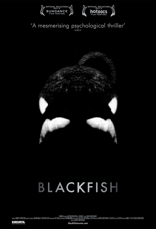 Blackfish - Plakaty