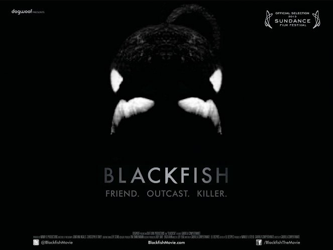 Blackfish - Plakate