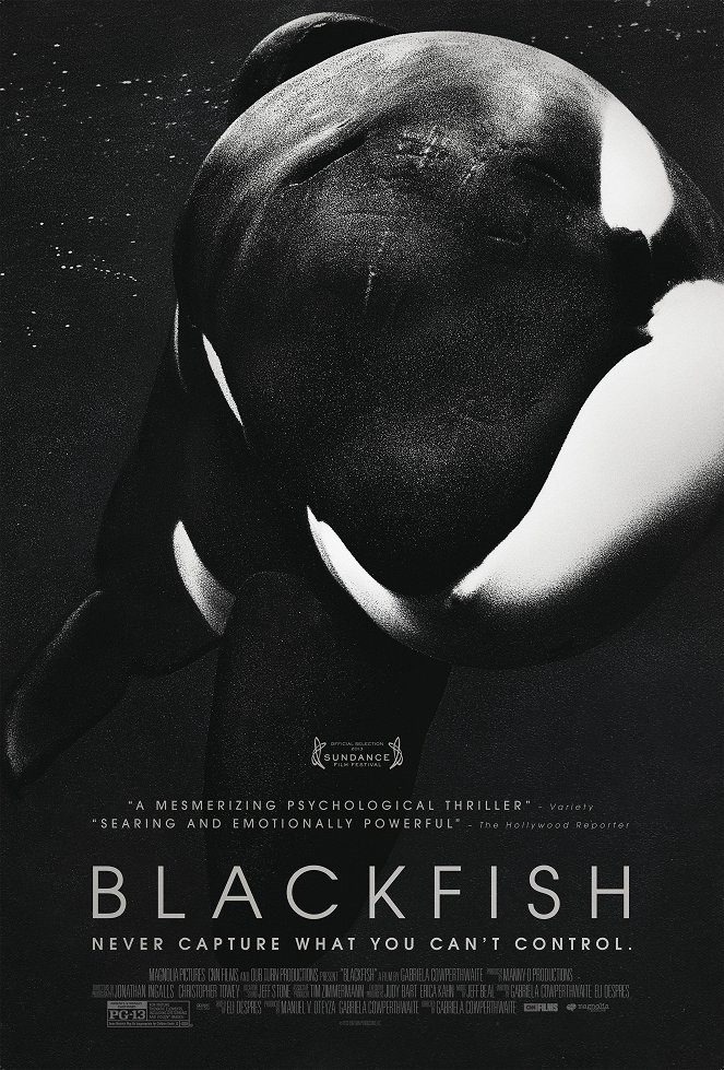 Blackfish - Plakaty