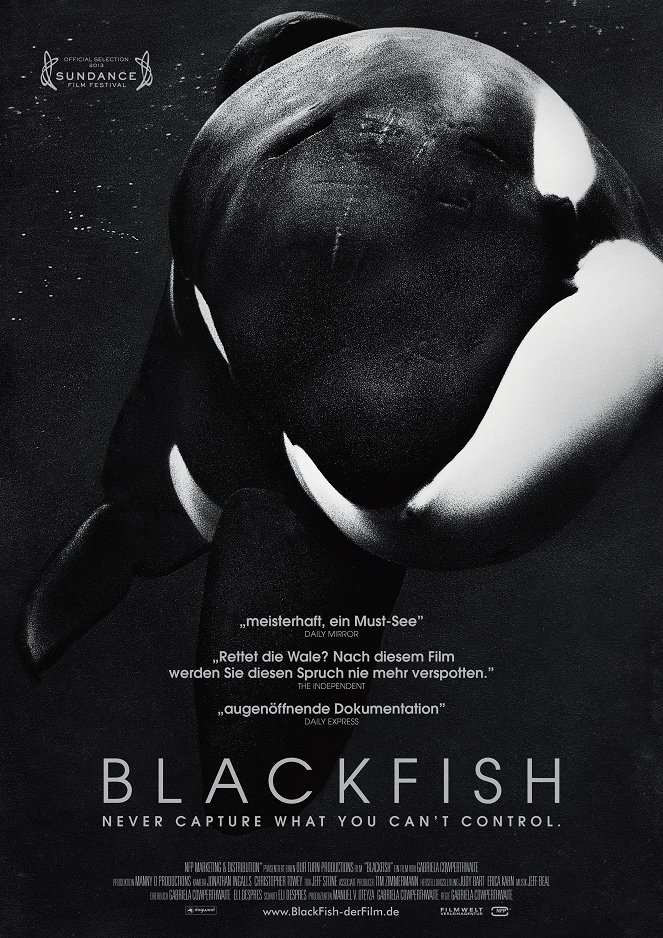 Blackfish - Plakate