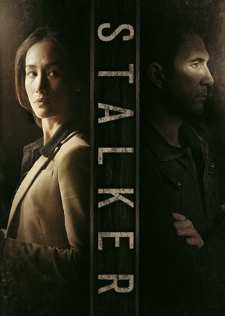 Stalker - Posters