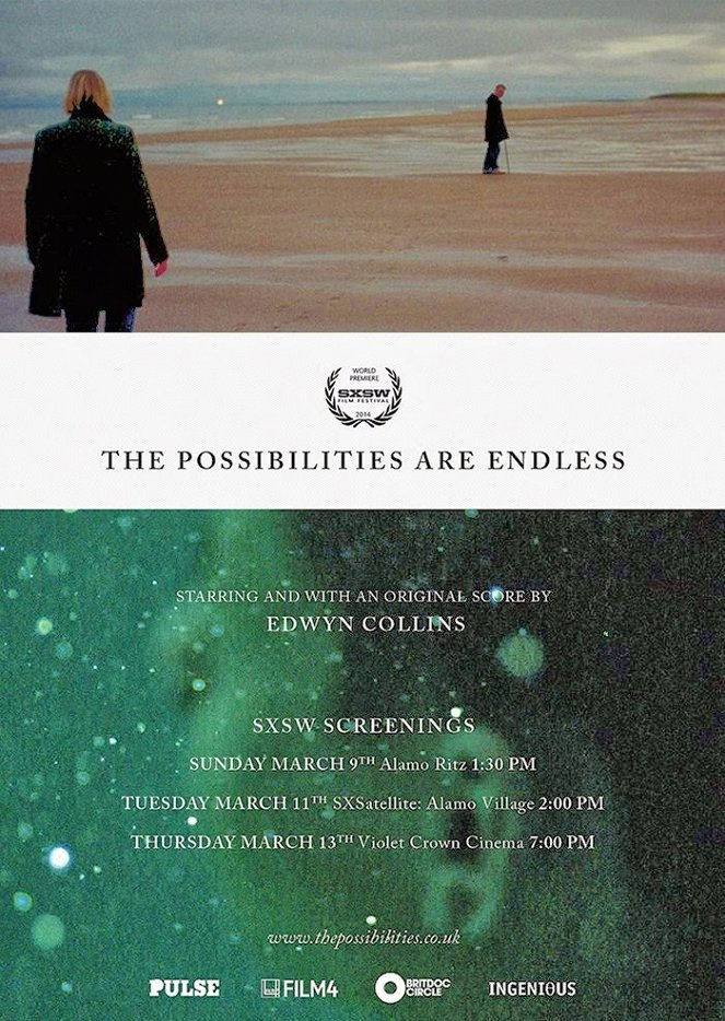 The Possibilities Are Endless - Carteles