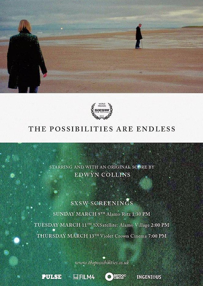 The Possibilities Are Endless - Posters