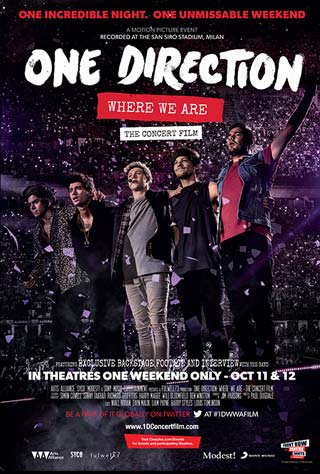 One Direction: Where We Are - The Concert Film - Plagáty