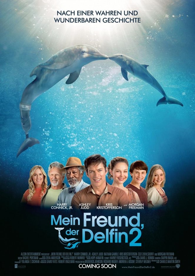 Mein Freund, der Delfin 2 - Plakate