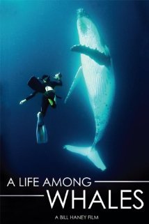 A Life Among Whales - Affiches