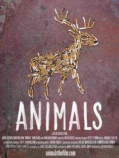 Animals - Plakate
