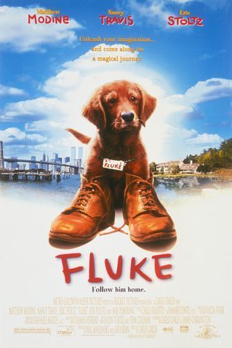 Fluke - Plakate