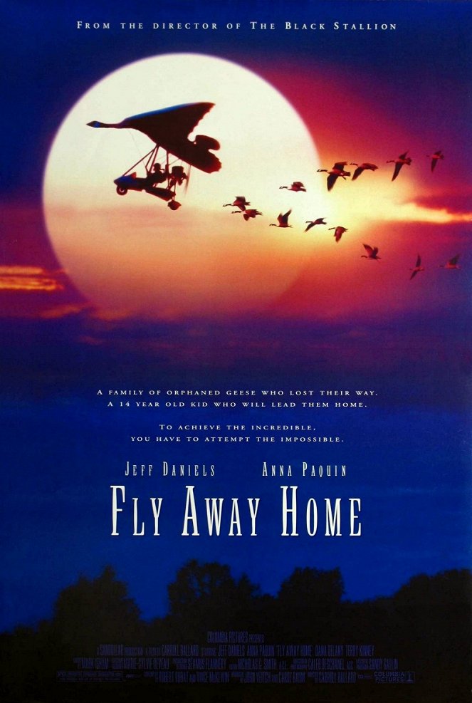 Fly Away Home - Plakaty