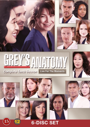 Greyn anatomia - Greyn anatomia - Season 10 - Julisteet