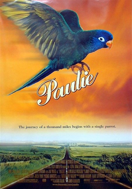 Papagáj Paulie - Plagáty