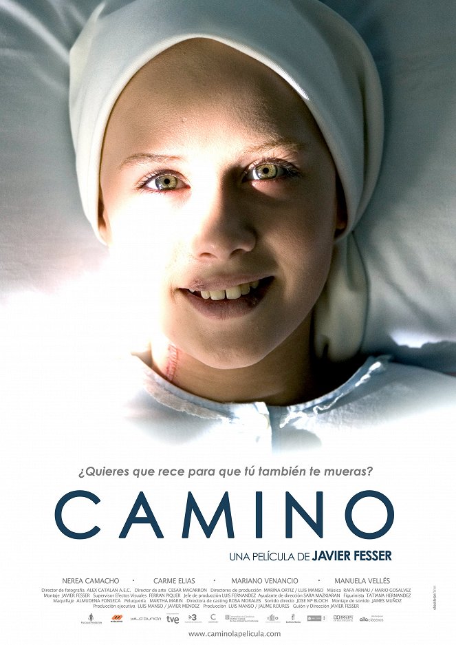Camino - Posters