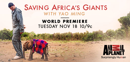 Yao Ming zachraňuje africké obry - Plakáty