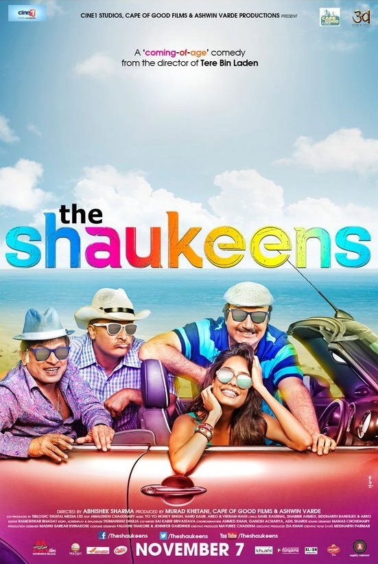 The Shaukeens - Plakáty