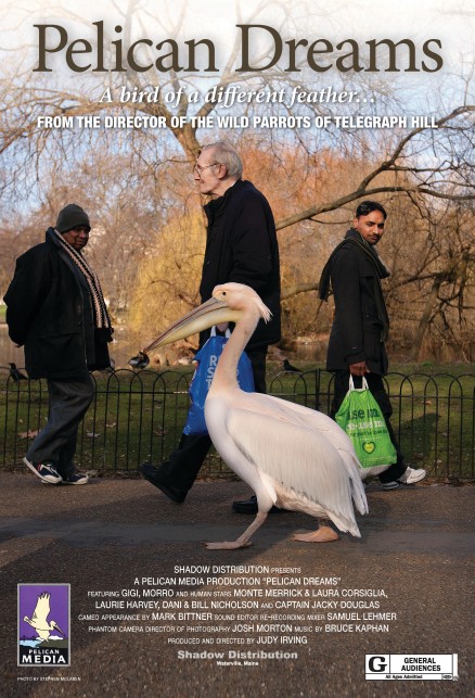 Pelican Dreams - Posters