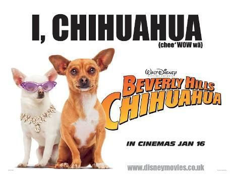 Beverly Hills Chihuahua - Posters
