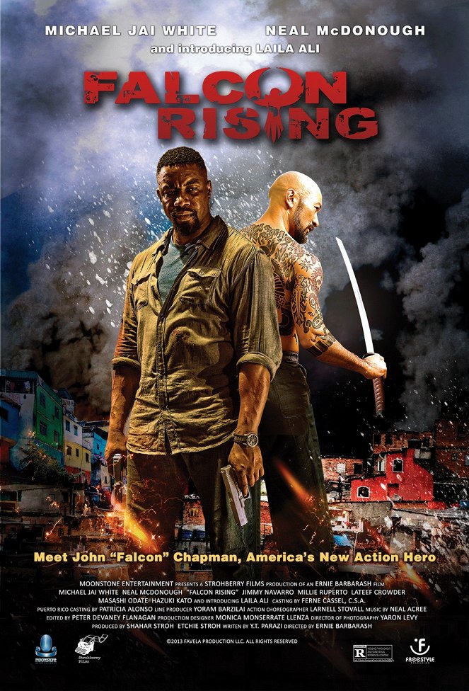 Falcon Rising - Affiches
