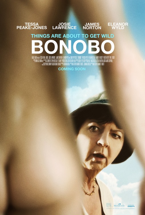 Bonobo - Plakáty