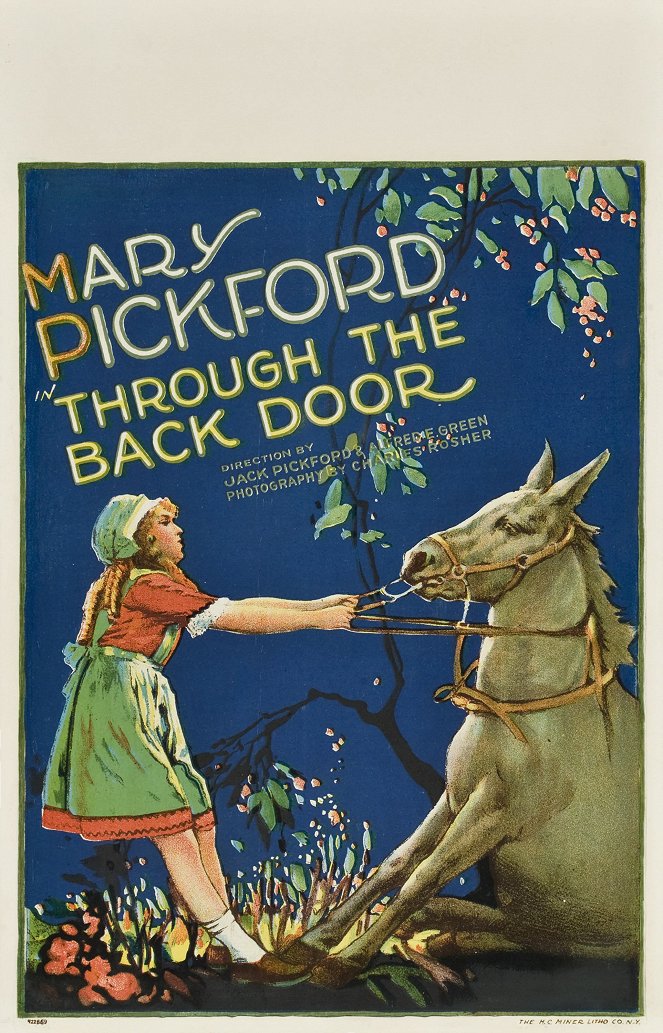 Through the Back Door - Plakate
