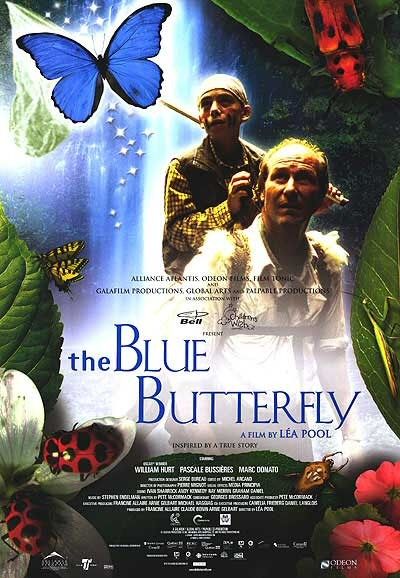 Modrý motýl - Plakáty