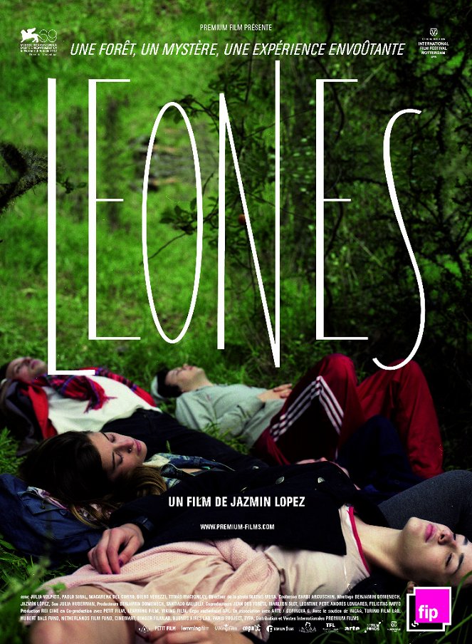 Lions - Posters