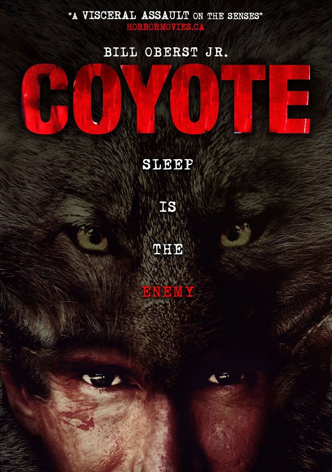Coyote - Posters