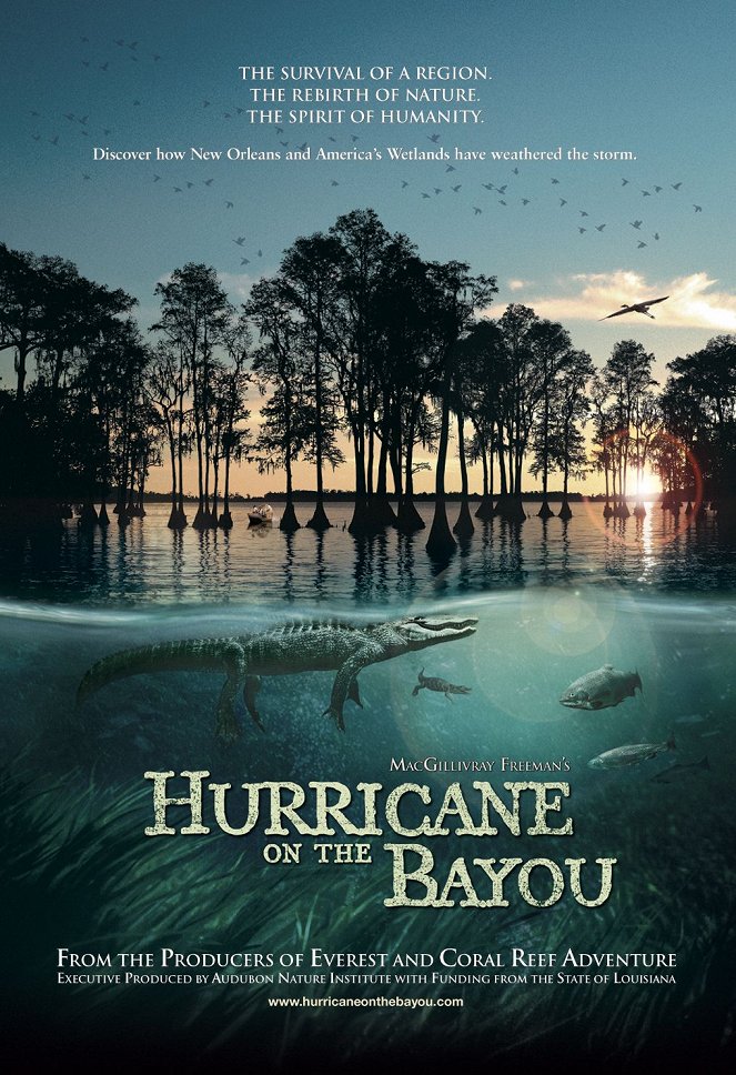 Hurricane on the Bayou - Cartazes