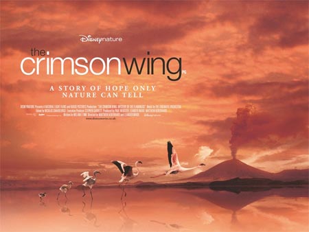 The Crimson Wing: Mystery of the Flamingos - Carteles