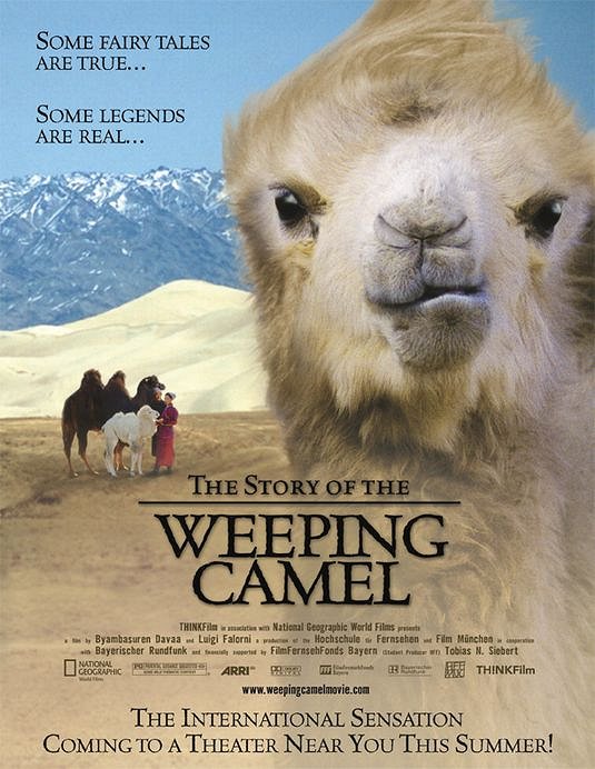 Příběh o uplakaném velbloudovi - Plakáty