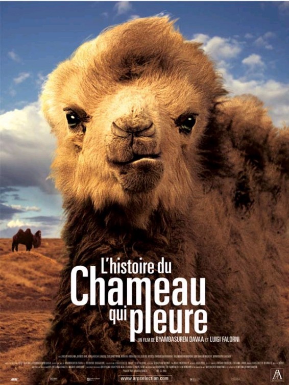 The Story of the Weeping Camel - Posters