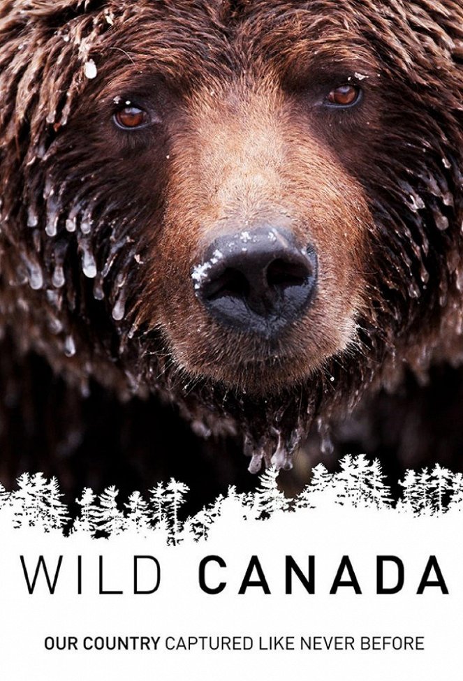 Wild Canada - Posters