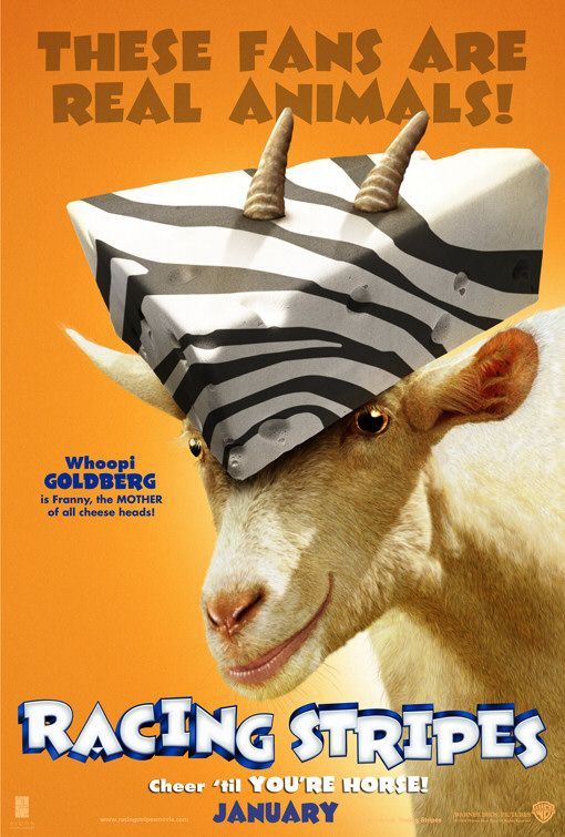 Im Rennstall ist das Zebra los! - Plakate