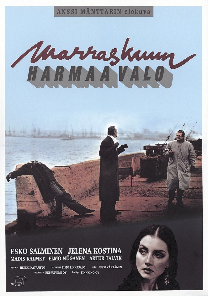 Marraskuun harmaa valo - Plakate