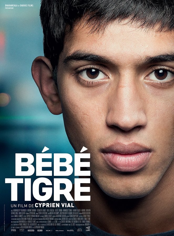 Bébé tigre - Plakáty