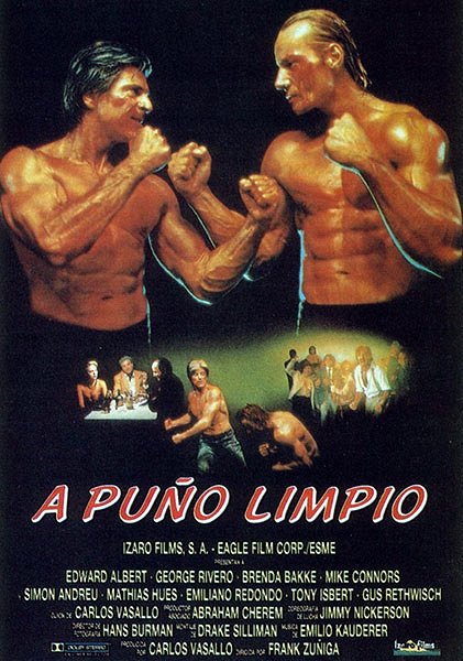 Fist Fighter - Affiches